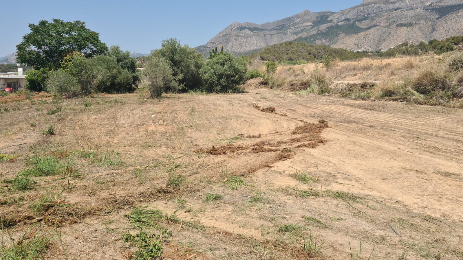 Parcela rustica en Altea